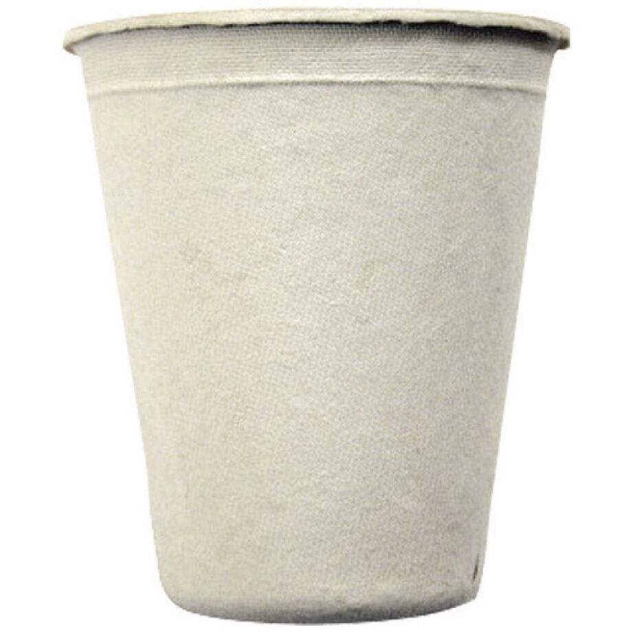pulpe 2